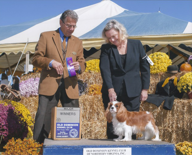 Picketfence Rosebud's second major